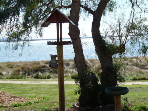 Swansea Motor Inn Tasmania - E Caravan Parks 20