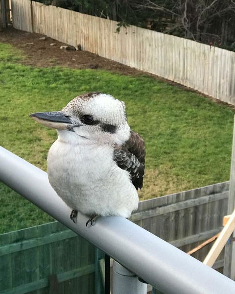 Seas The Day - Seaside Getaway - E Caravan Parks 11