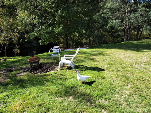 Wanderlust Cottage - E Caravan Parks 18