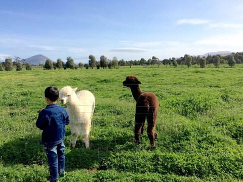 Taras Richmond Farmstay - E Caravan Parks 0