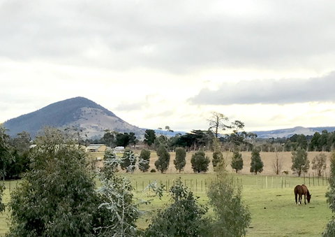 Taras Richmond Farmstay - E Caravan Parks 1