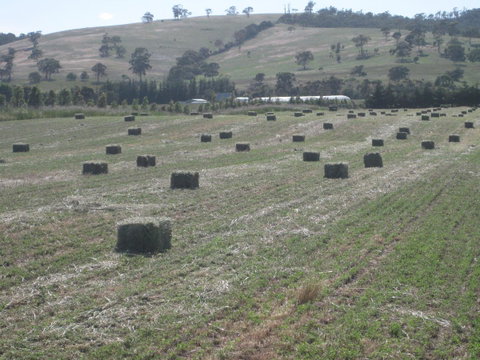Taras Richmond Farmstay - E Caravan Parks 18