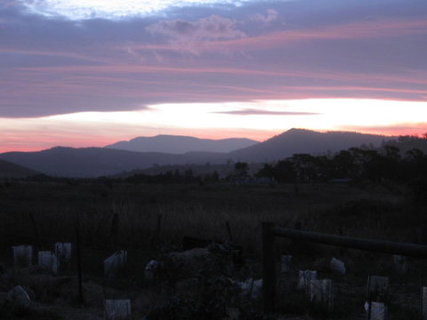 Taras Richmond Farmstay - E Caravan Parks 22