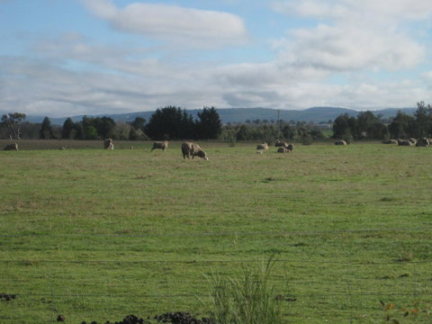 Taras Richmond Farmstay - E Caravan Parks 13
