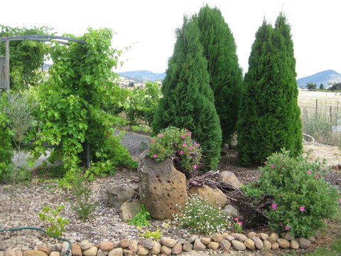 Taras Richmond Farmstay - E Caravan Parks 23