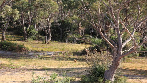 BAY OF FIRES SEACHANGE Ocean Frontage - E Caravan Parks 12