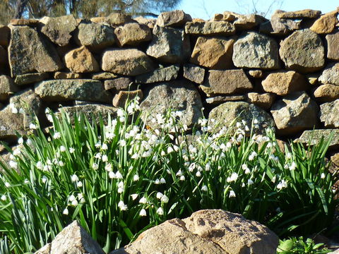 Wagners Cottages - E Caravan Parks 11