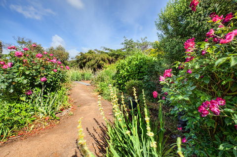 Wagners Cottages - E Caravan Parks 30