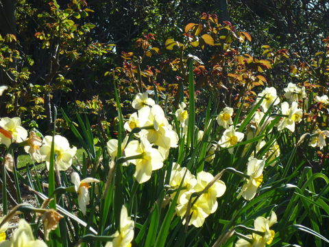 Wagners Cottages - E Caravan Parks 13