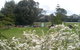 Point Lonsdale Guest House - thumb 13