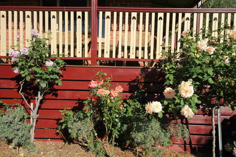 Oxford Rise Apartment - E Caravan Parks 21