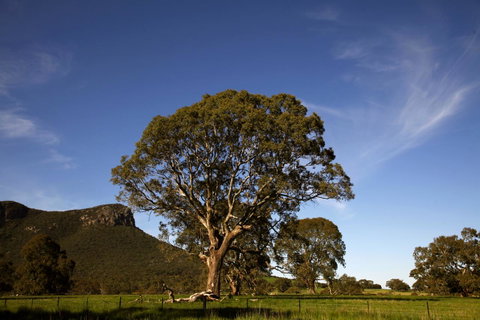 Dunkeld Studio Accommodation - E Caravan Parks 23