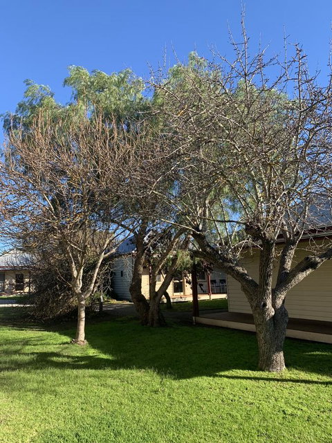 Dunkeld Studio Accommodation - E Caravan Parks 4