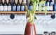 Plough Hotel - thumb 25