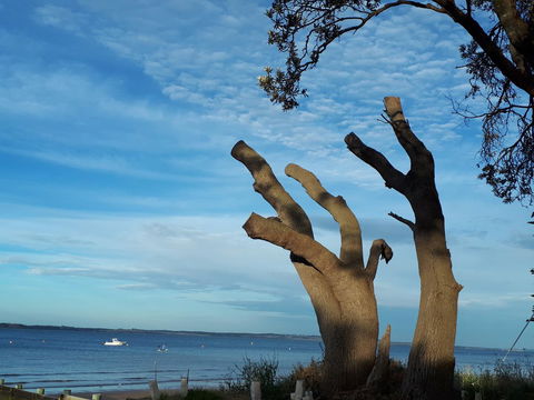 Apartments In Phillip Island Towers - Block C - E Caravan Parks 10