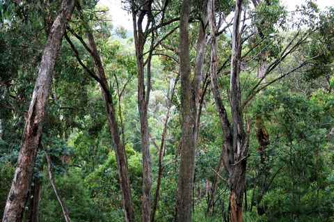 Tangenong Cottages - E Caravan Parks 9