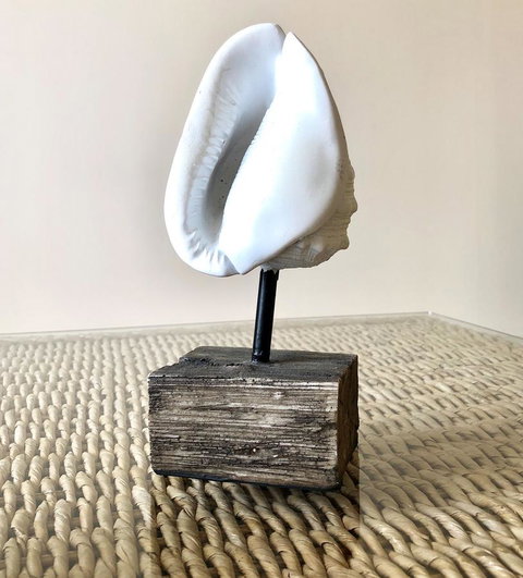 Sea Shells On Banyan Apartment - E Caravan Parks 9
