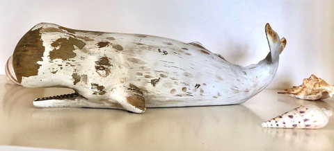 Sea Shells On Banyan Apartment - E Caravan Parks 4