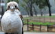 Tasman Holiday Parks - Merool On The Murray - thumb 22