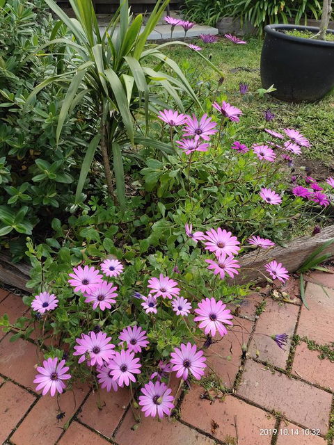 Coachman Motel And Holiday Units - E Caravan Parks 15