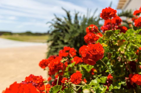 Cottages For Couples - E Caravan Parks 13