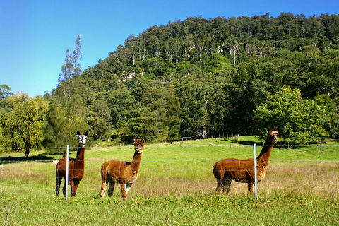 The Heavens Mountain Escape - E Caravan Parks 2