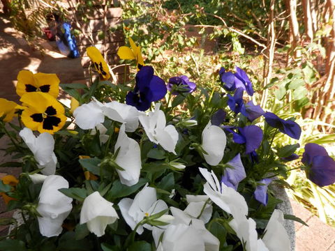 The Hideaway Luxury B&B Retreat - E Caravan Parks 1