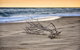 The Lakes Beachfront Holiday Park - thumb 2