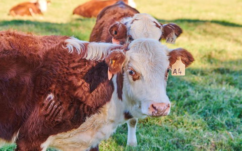 The Vale - E Caravan Parks 2