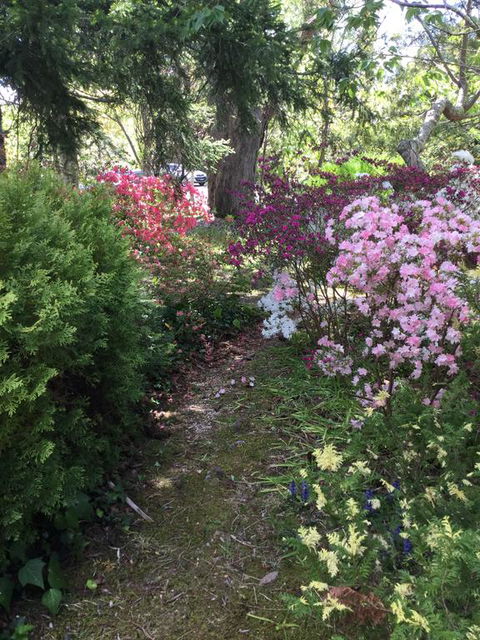 The Wentworth Retreat - E Caravan Parks 3