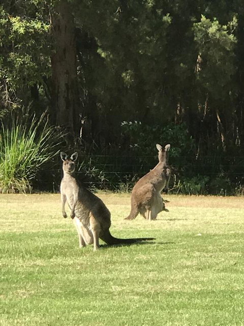 Tinglewood Cabins - E Caravan Parks 2