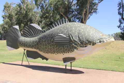 Tocumwal Hotel Motel (The Palms) - E Caravan Parks 1