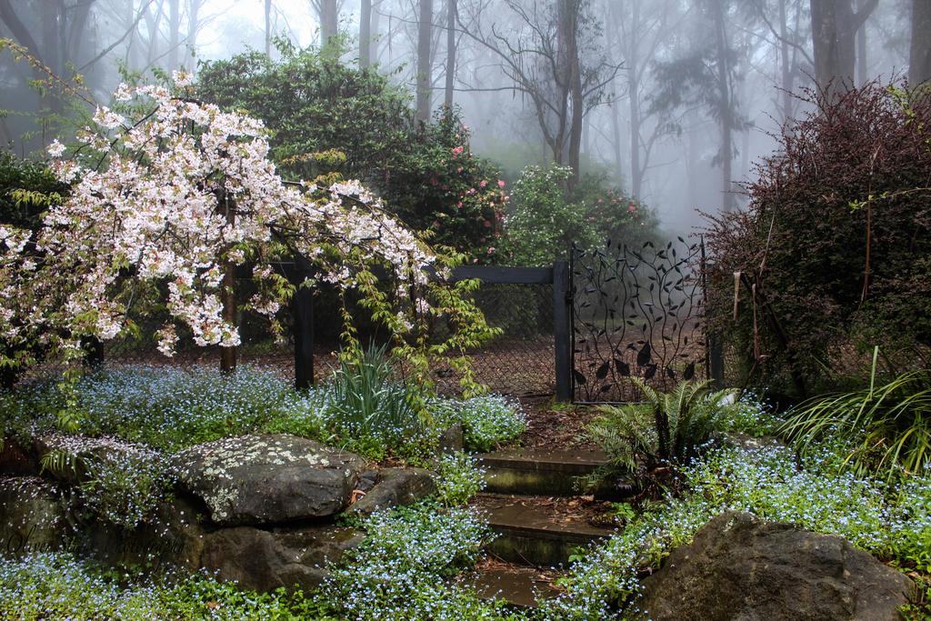Mount Tomah NSW E Caravan Parks