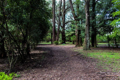 Tomah Retreat - Relax & Heal At UNWIND - E Caravan Parks 1