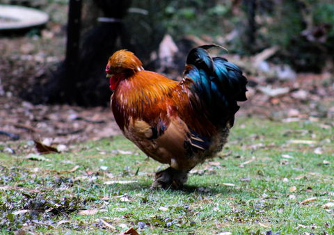 Tomah Retreat - Relax & Heal At UNWIND - E Caravan Parks 3