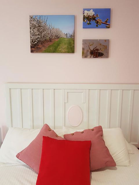 Town House Motor Inn Young - E Caravan Parks 1