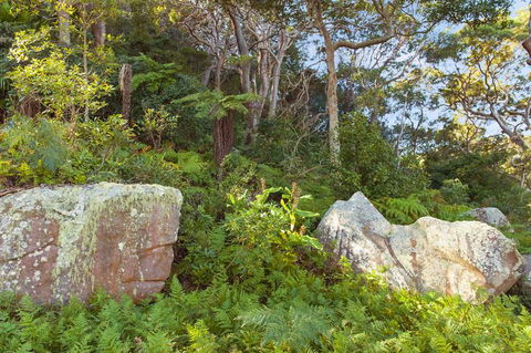 Treehouse Palm Beach - E Caravan Parks 2