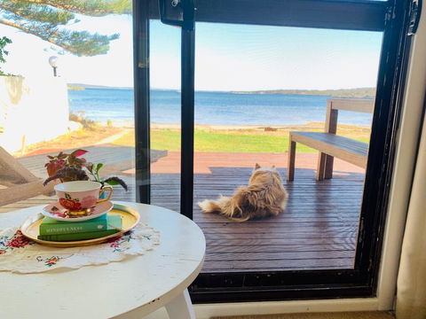 Vandy's Shack At Mount Dutton Bay - Ideal For Couples And Small Families - E Caravan Parks 3