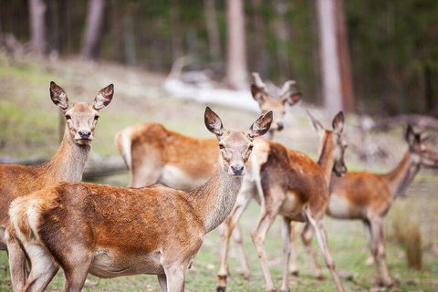 Villa Cervi Property - E Caravan Parks 0