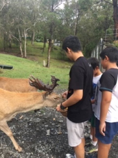 Villa Cervi Property - E Caravan Parks 3