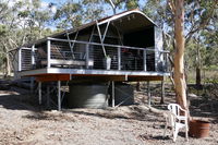 Wallabies Rest