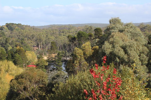 The Orchard - E Caravan Parks 28