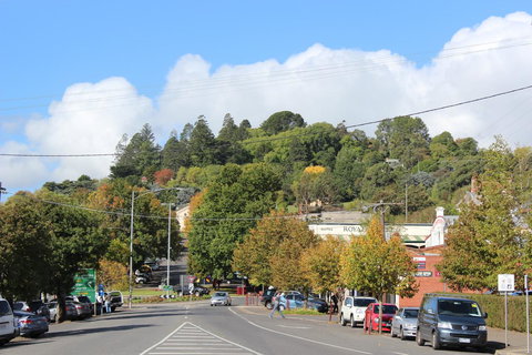 The Orchard - E Caravan Parks 29