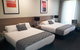 The Dingley Hotel - thumb 8