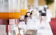 The Dingley Hotel - thumb 18