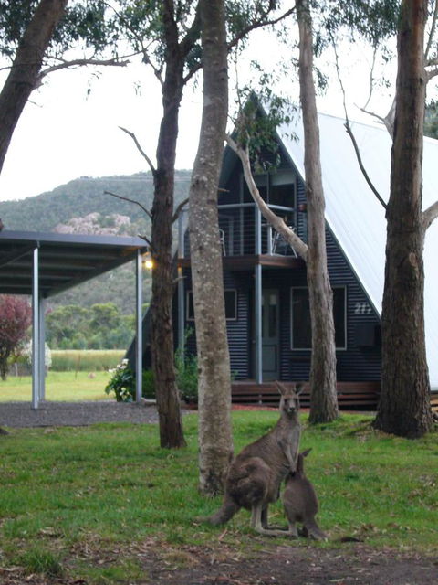 The A-Frame - E Caravan Parks 1