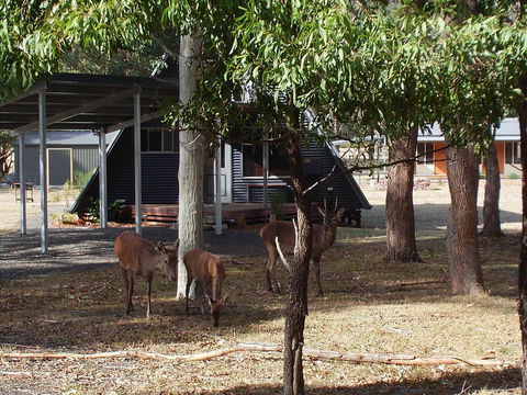 The A-Frame - E Caravan Parks 13