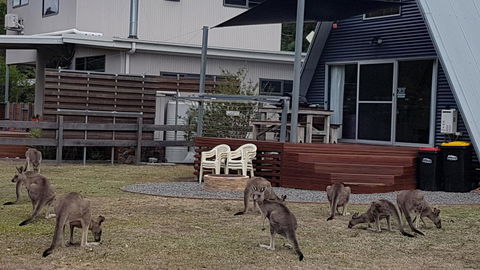 The A-Frame - E Caravan Parks 3