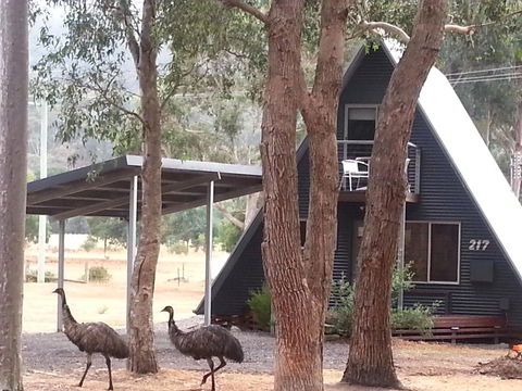 The A-Frame - E Caravan Parks 9