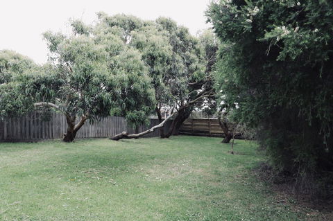 Red Ceder Cottage - Great Ocean Road - Port Campbell - E Caravan Parks 24